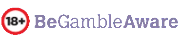 18+ Gamble Responsibly logo