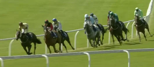 Horse racing betting strategies for analyzing performance and improving odds