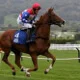 Horse racing betting logo
